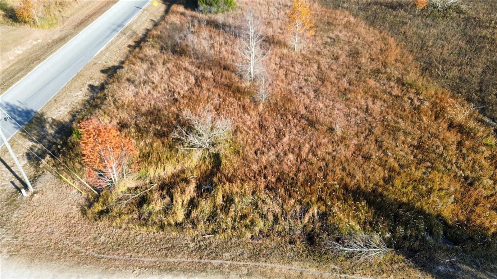 RAINBOW PARK UN 02 - Land