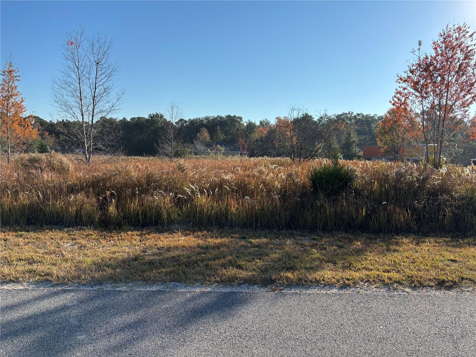 RAINBOW PARK UN 02 - Land