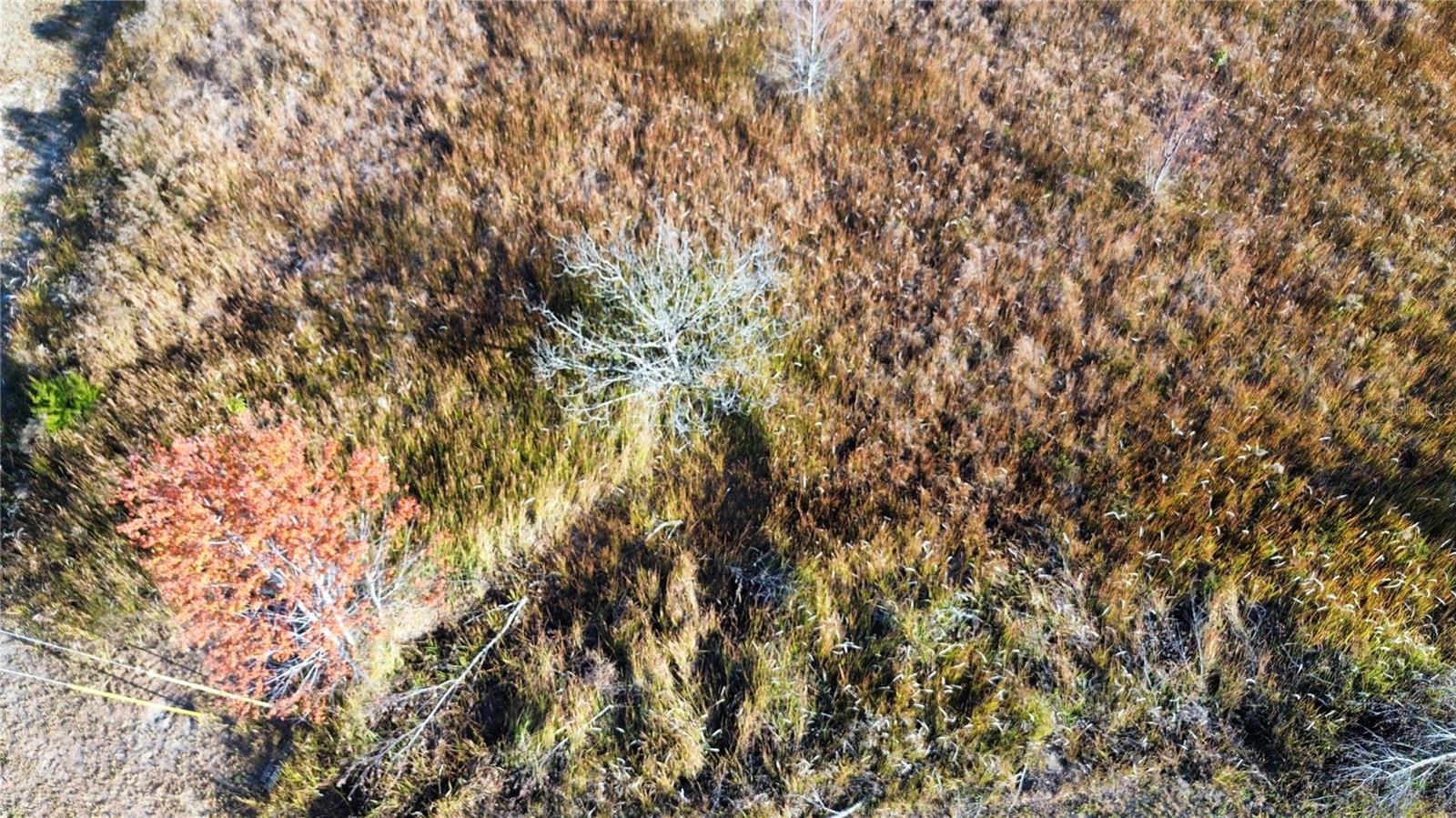 RAINBOW PARK UN 02 - Land