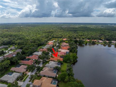 A home in TAMPA