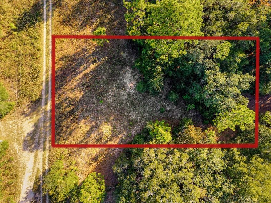 Discover this charming ¼-acre vacant homesite located in the desirable Rainbow Park area of Ocala, Florida. This property offers the perfect blend of peaceful living and convenient access to nearby amenities. The lot is ready to be built on and positioned in a growing community with new homes going up in the area. Electric is available nearby, and the property will require installation of a well and septic, giving you the freedom to design your utilities your way. Whether you’re planning a future homestead, an investment property, or a cozy retreat, this versatile parcel provides a beautiful blank canvas for your vision. Enjoy the natural Florida surroundings while staying close to Ocala’s shopping, dining, and outdoor attractions. New recent survey available.