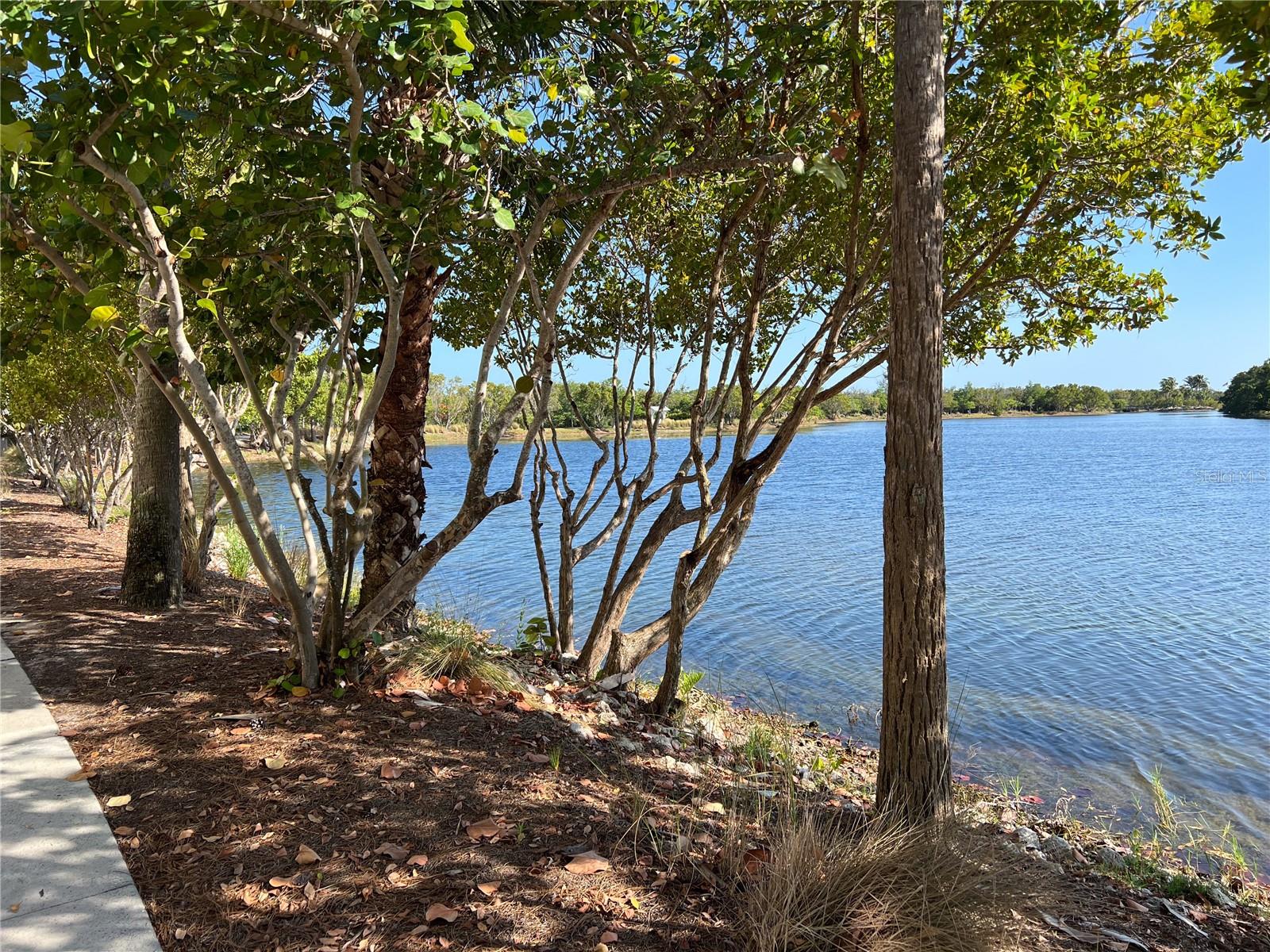 MANGROVE WALK ON HARBOUR ISLE PH 7 - Residential Lease