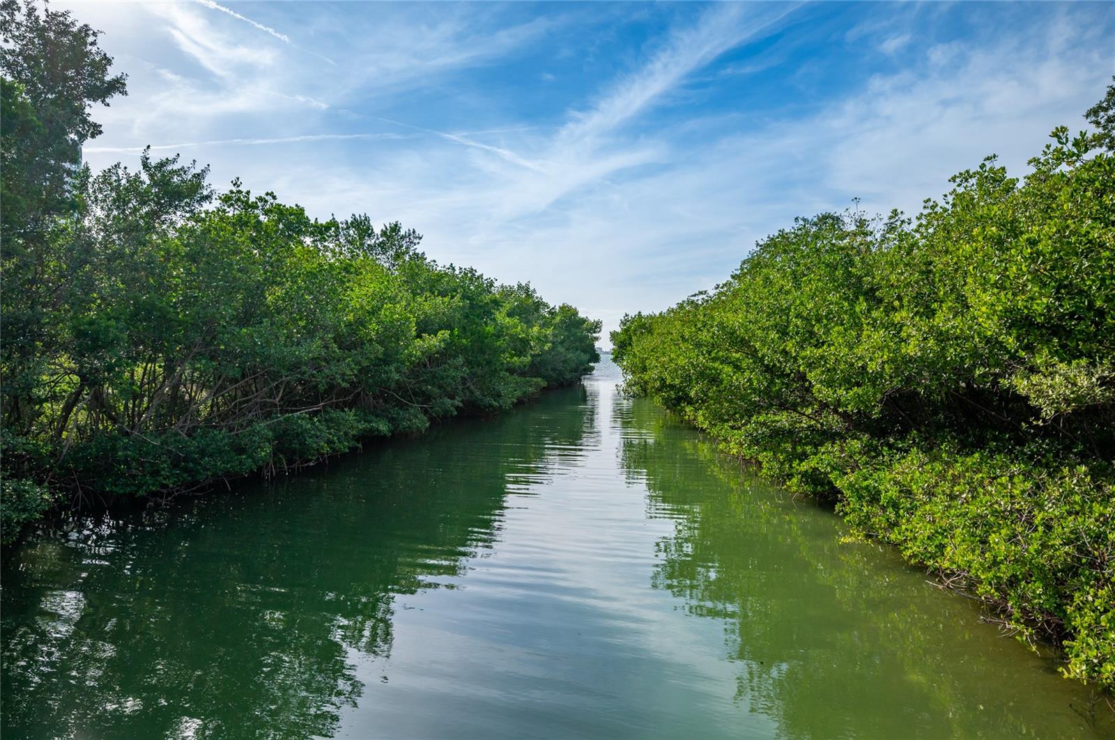 BLVD SARASOTA - Residential