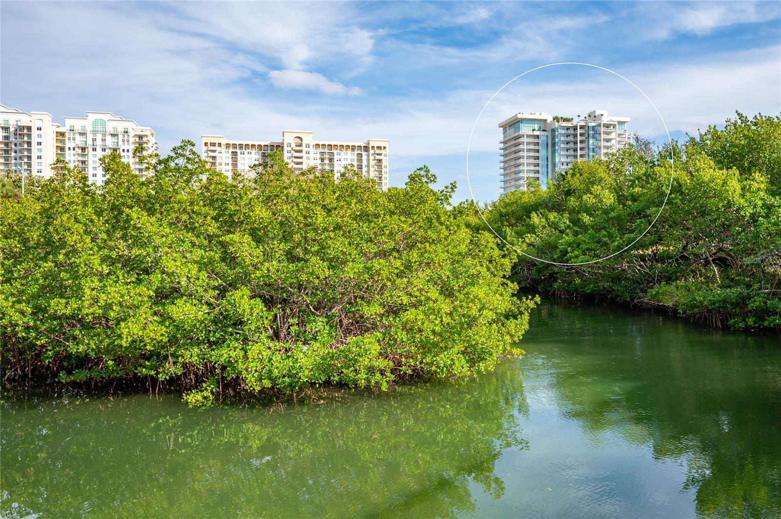 BLVD SARASOTA - Residential