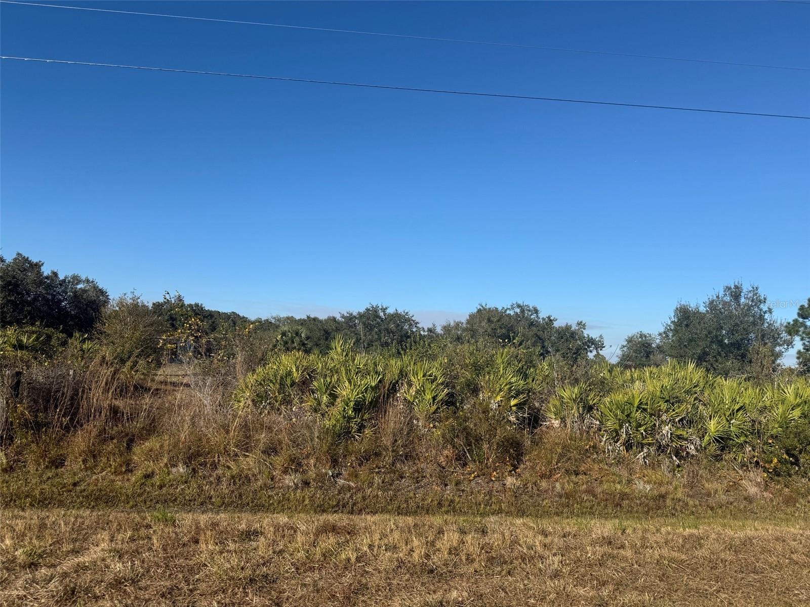 SOUTHERN COLONIZATION CO 23 - Land