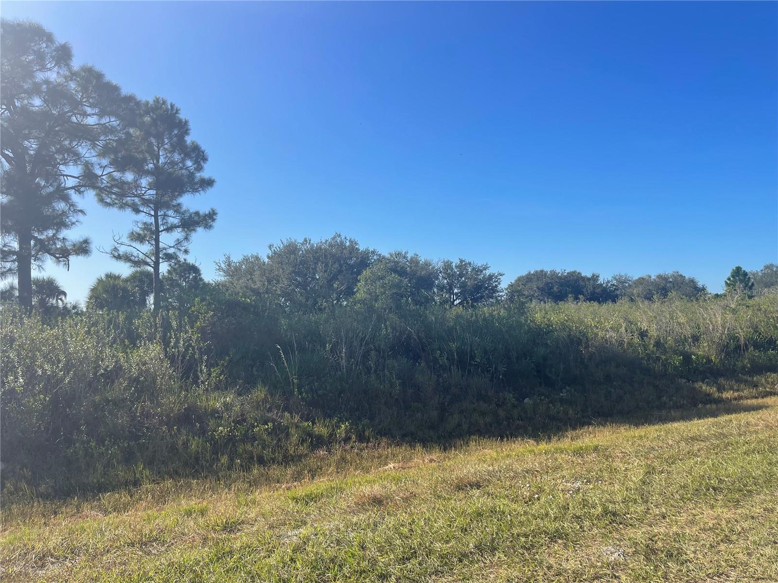 SOUTHERN COLONIZATION CO 23 - Land