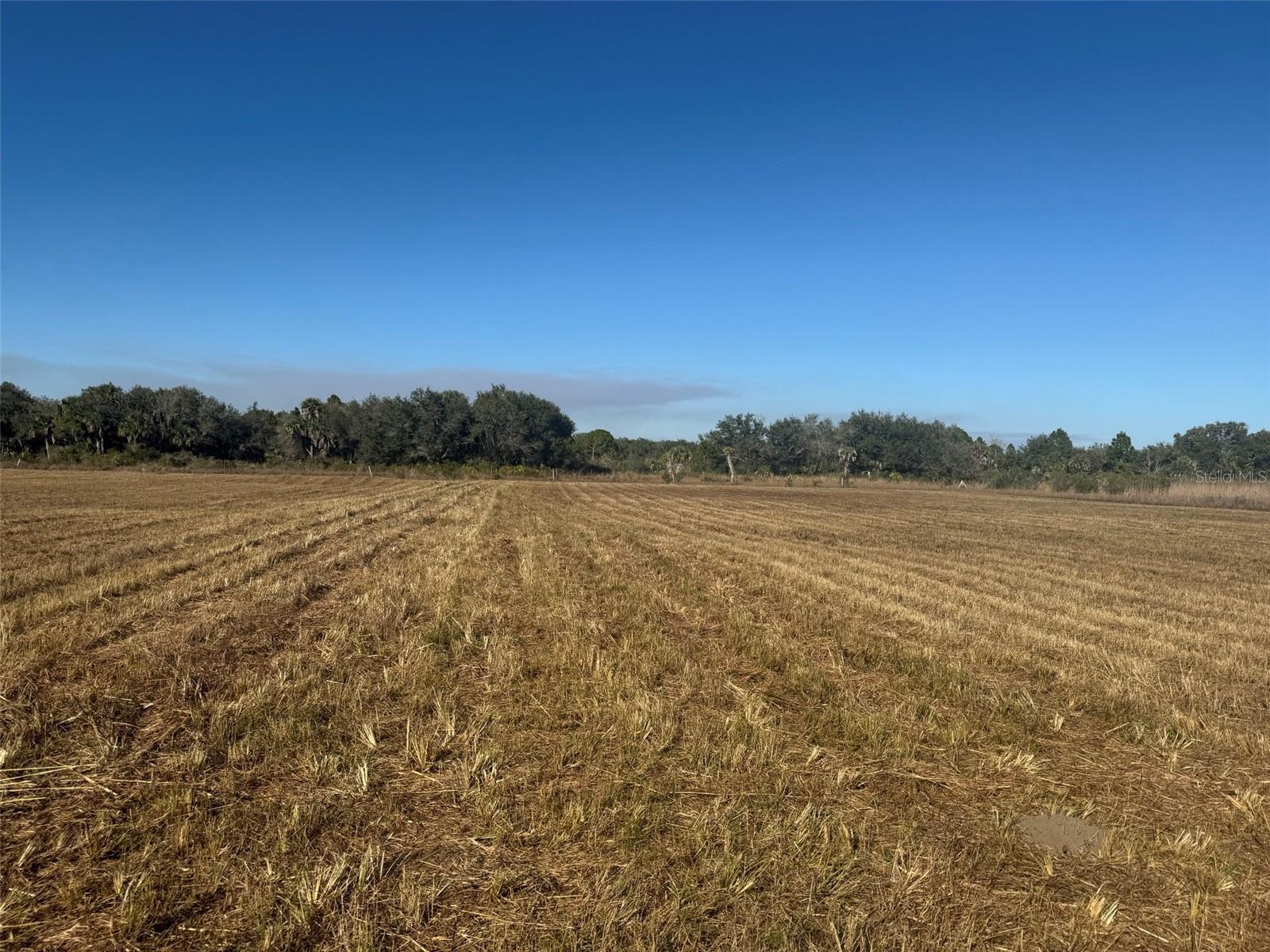 SOUTHERN COLONIZATION CO 23 - Land