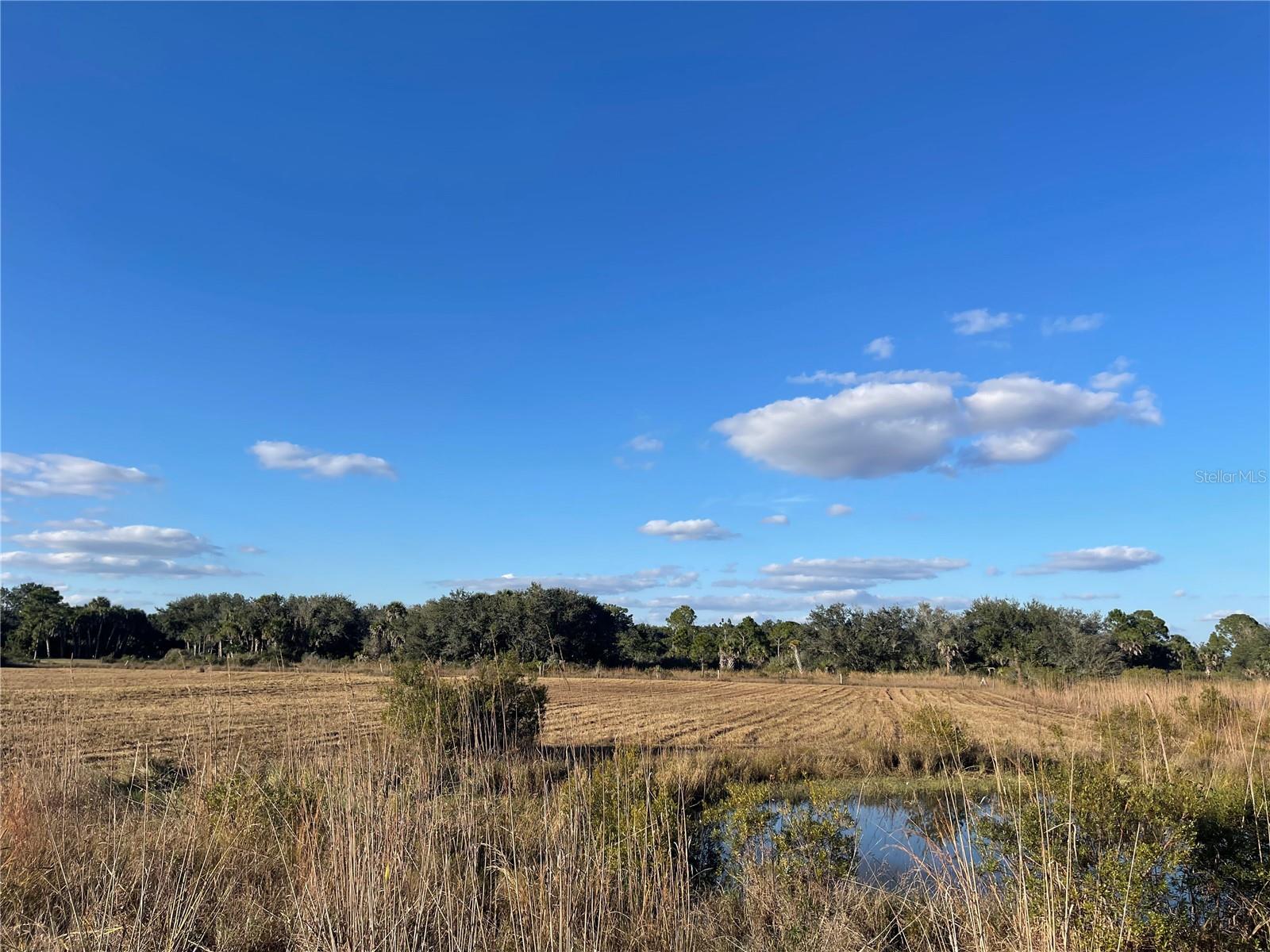 SOUTHERN COLONIZATION CO 23 - Land