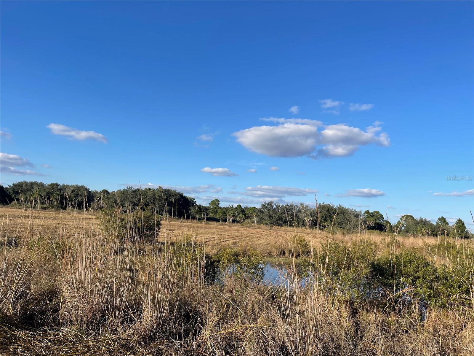 SOUTHERN COLONIZATION CO 23 - Land