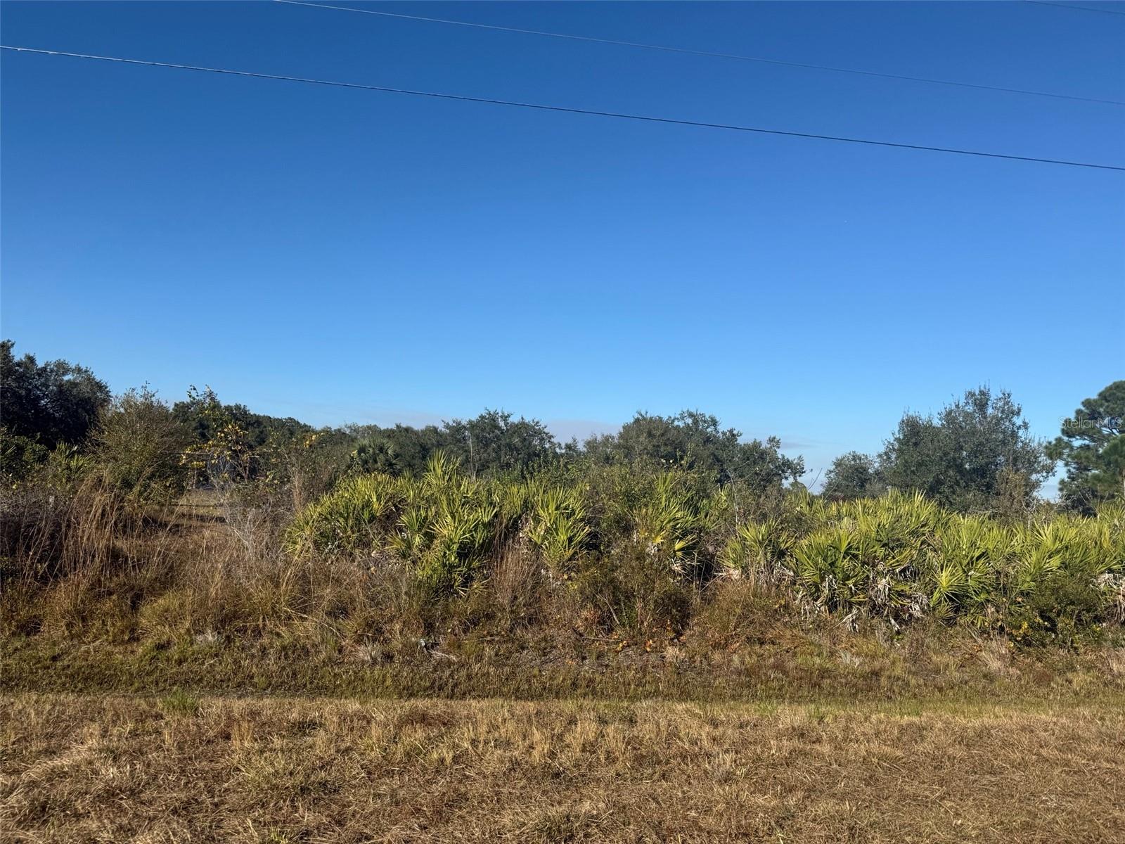 SOUTHERN COLONIZATION CO 23 - Land