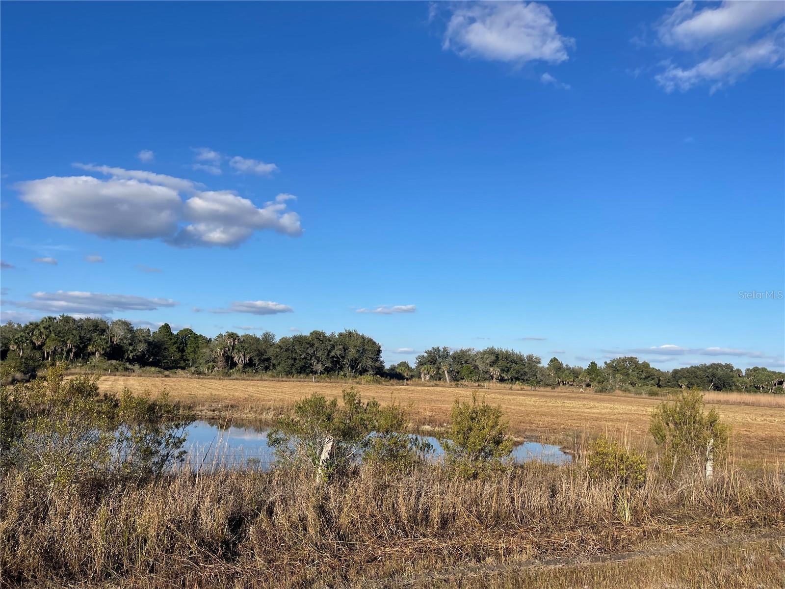 SOUTHERN COLONIZATION CO 23 - Land