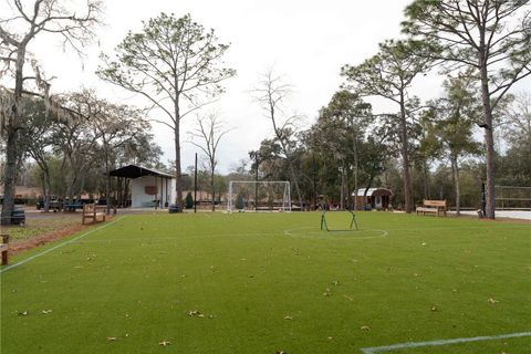 Tiny photo for 7670 NE 97th Court, Bronson, FL 32621 (MLS # S5143545)