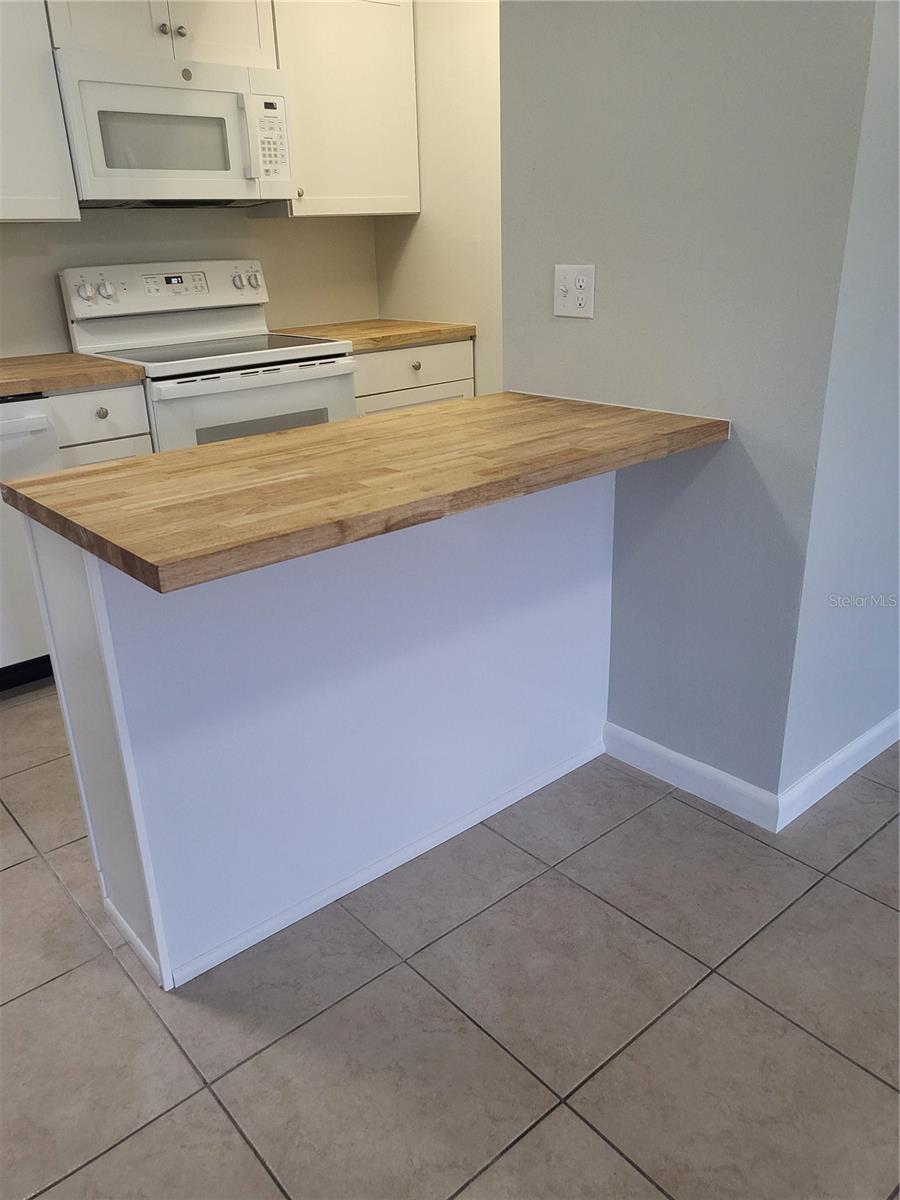 TAVARES LAKEVIEW CONDO - Residential