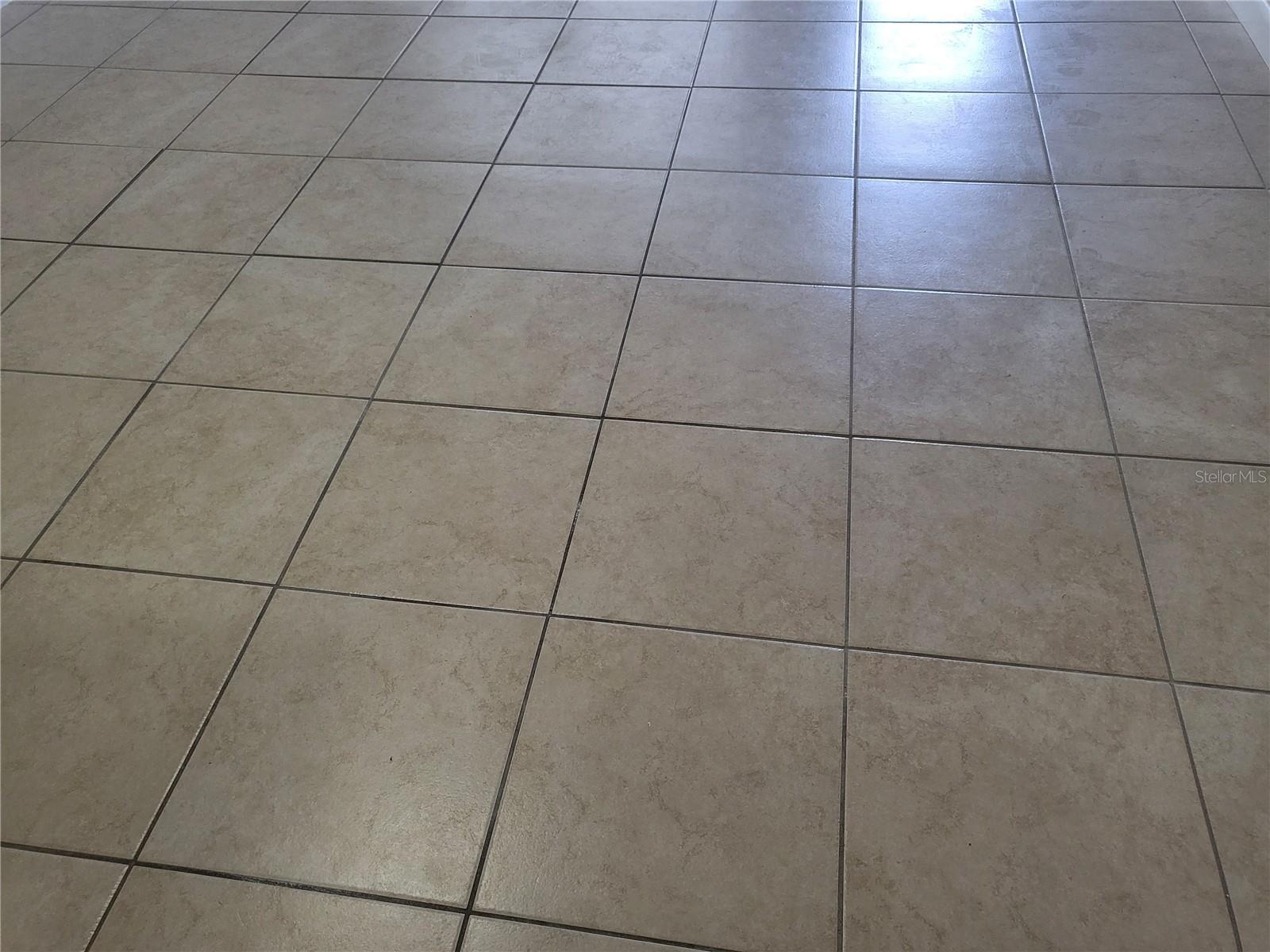 TAVARES LAKEVIEW CONDO - Residential