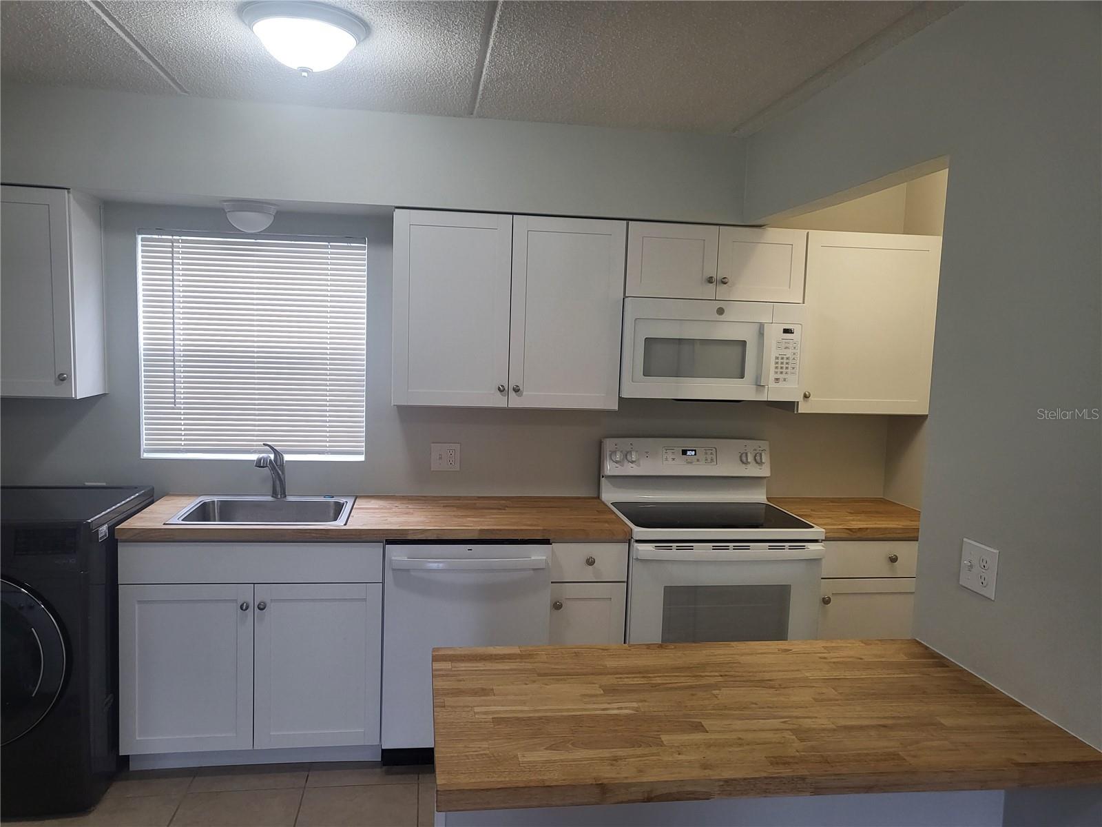 TAVARES LAKEVIEW CONDO - Residential