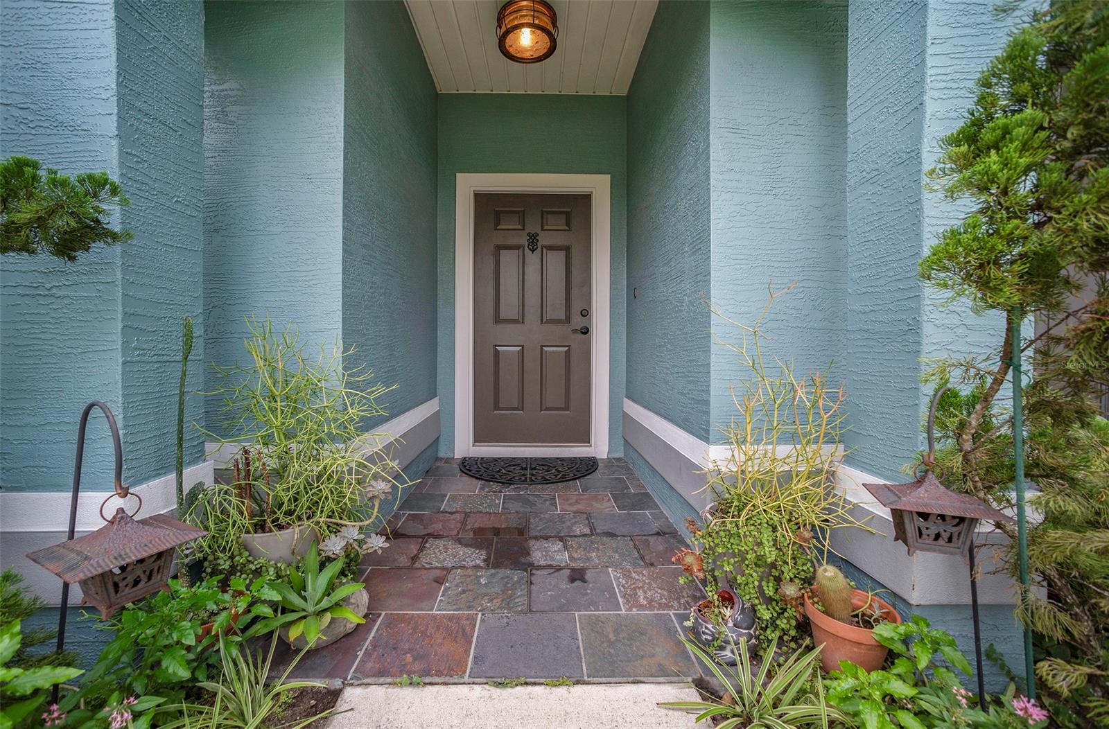 Florida Shores 01 - Residential