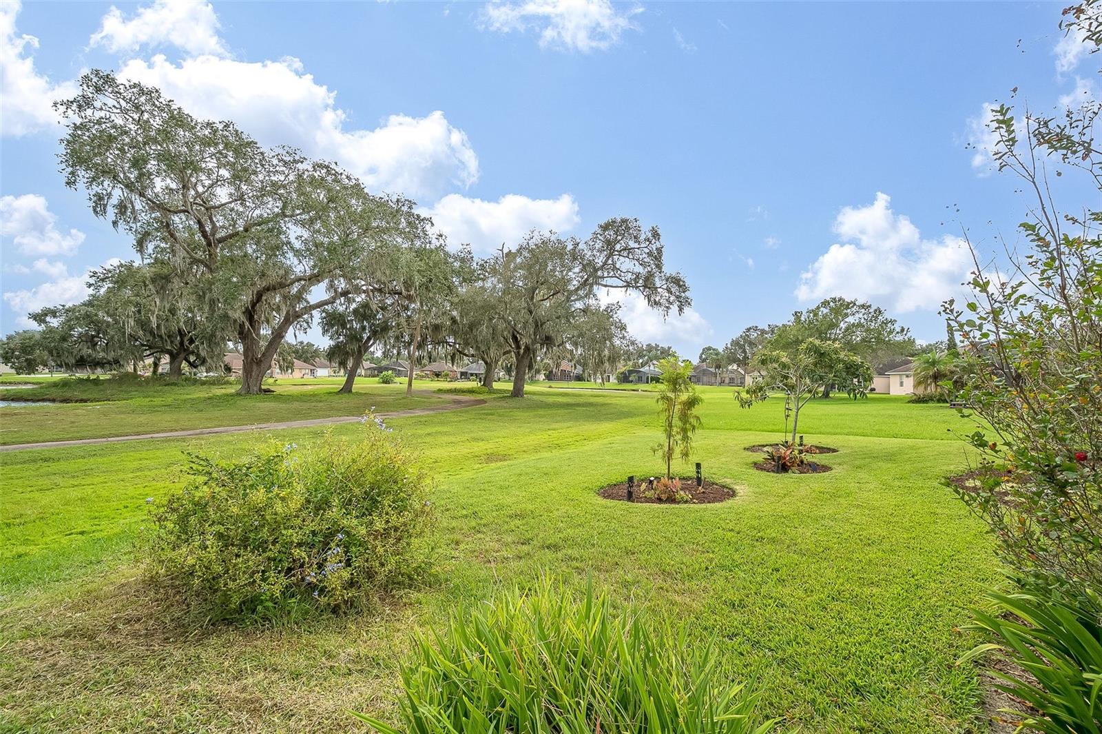 1917 WILLOW WOOD DRIVE