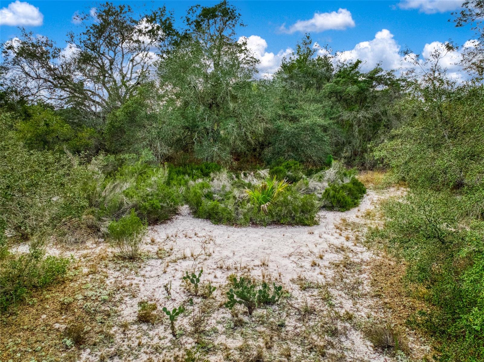 PLACID LAKES SEC 09 - Land