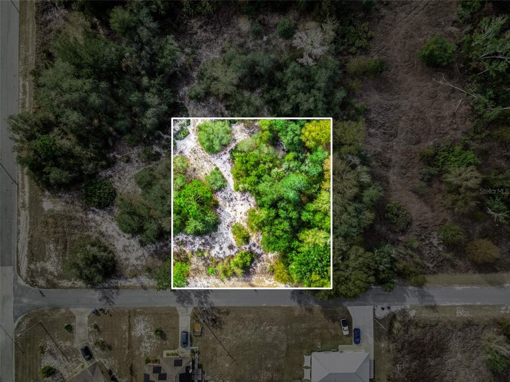 Photo of 113 Walker Avenue NE, Lake Placid, FL 33852 (MLS # O6383780)