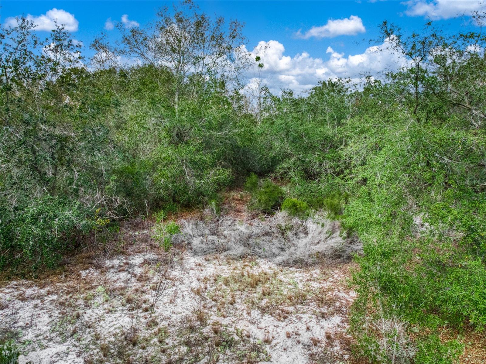 PLACID LAKES SEC 09 - Land