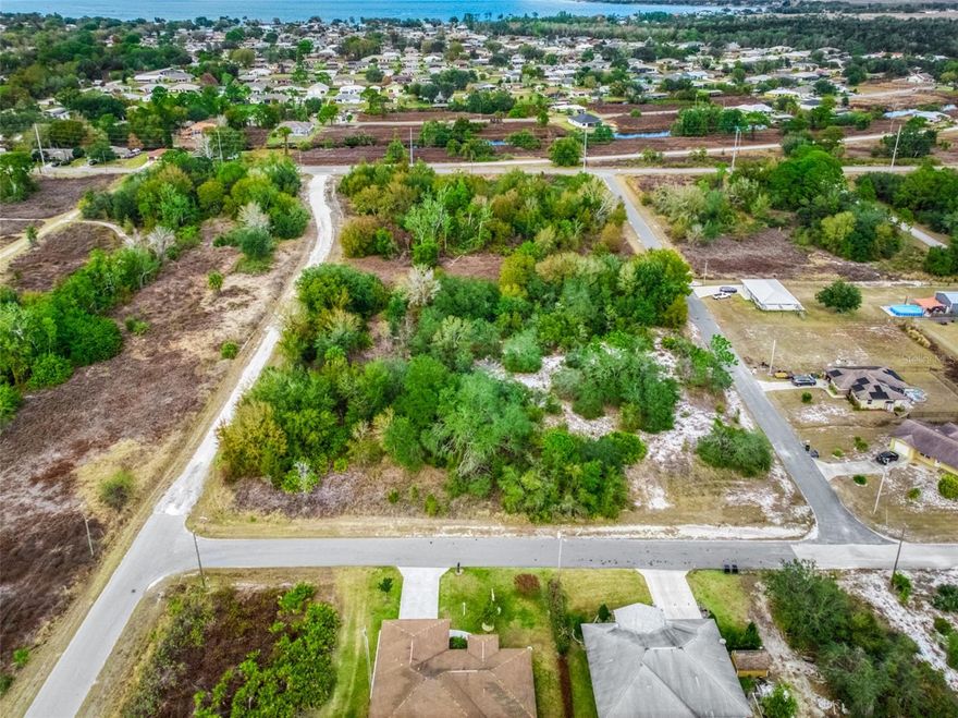 Build your Florida getaway or investment property on this vacant residential lot located at 113 Walker Ave NE in the growing community of Lake Placid. Nestled in Highlands County, this parcel offers a quiet neighborhood setting with convenient access to local shops, dining, schools, and the charming Lake Placid downtown area. Known as the “Town of Murals and Lakes,” Lake Placid features over 25 freshwater lakes, public boat ramps, parks, and year-round outdoor recreation including fishing, boating, and golf.

This lot provides an excellent opportunity for a future homesite or long-term hold in an area experiencing steady growth and new construction. Easy access to US-27 allows for convenient travel to Sebring, Avon Park, and Central Florida destinations. No HOA makes this a flexible option for builders, investors, or end users looking to create a custom home in a peaceful setting while still being close to everyday conveniences.

Buyer to verify zoning, utilities, and building requirements with Highlands County.