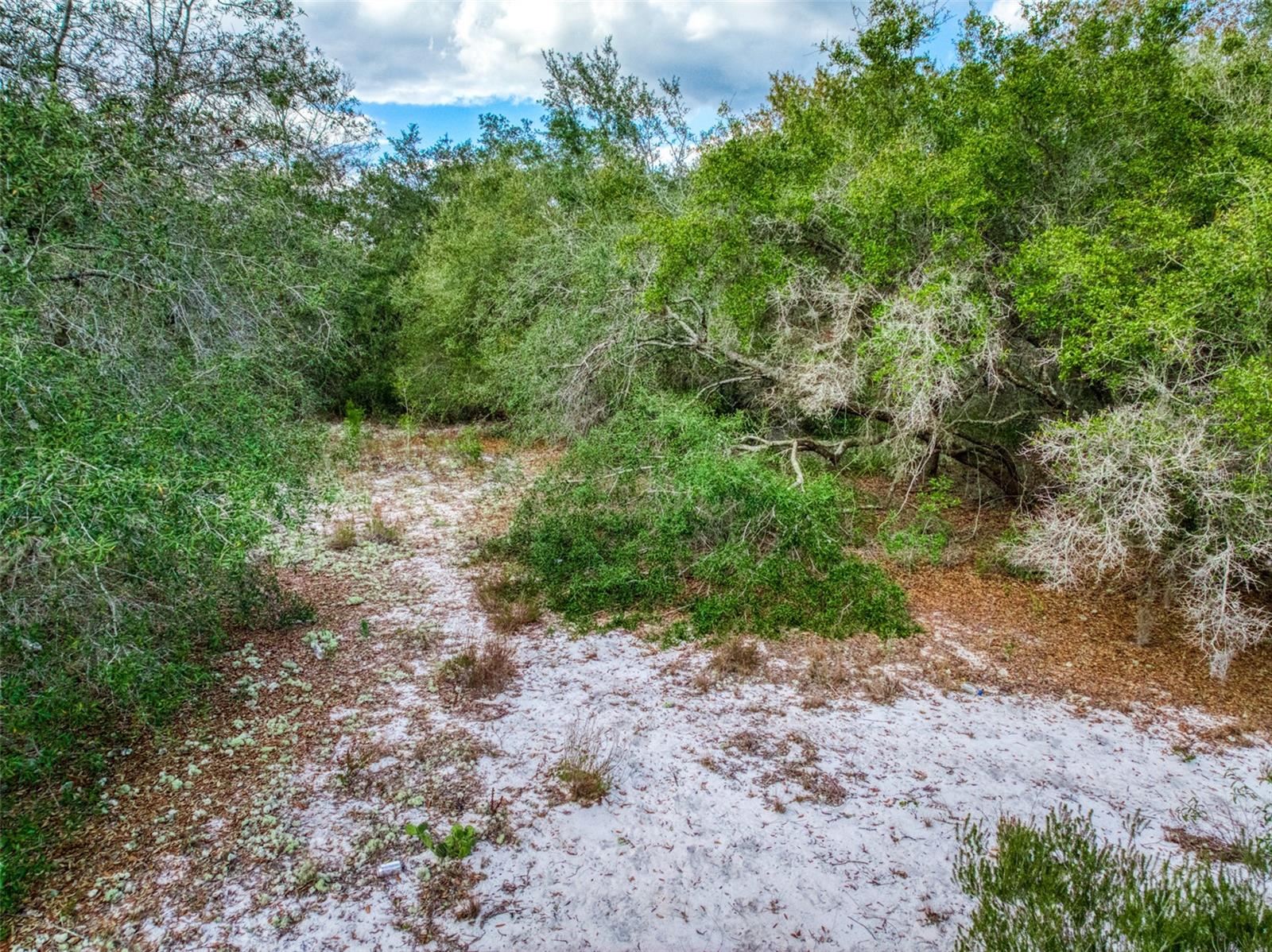 PLACID LAKES SEC 09 - Land