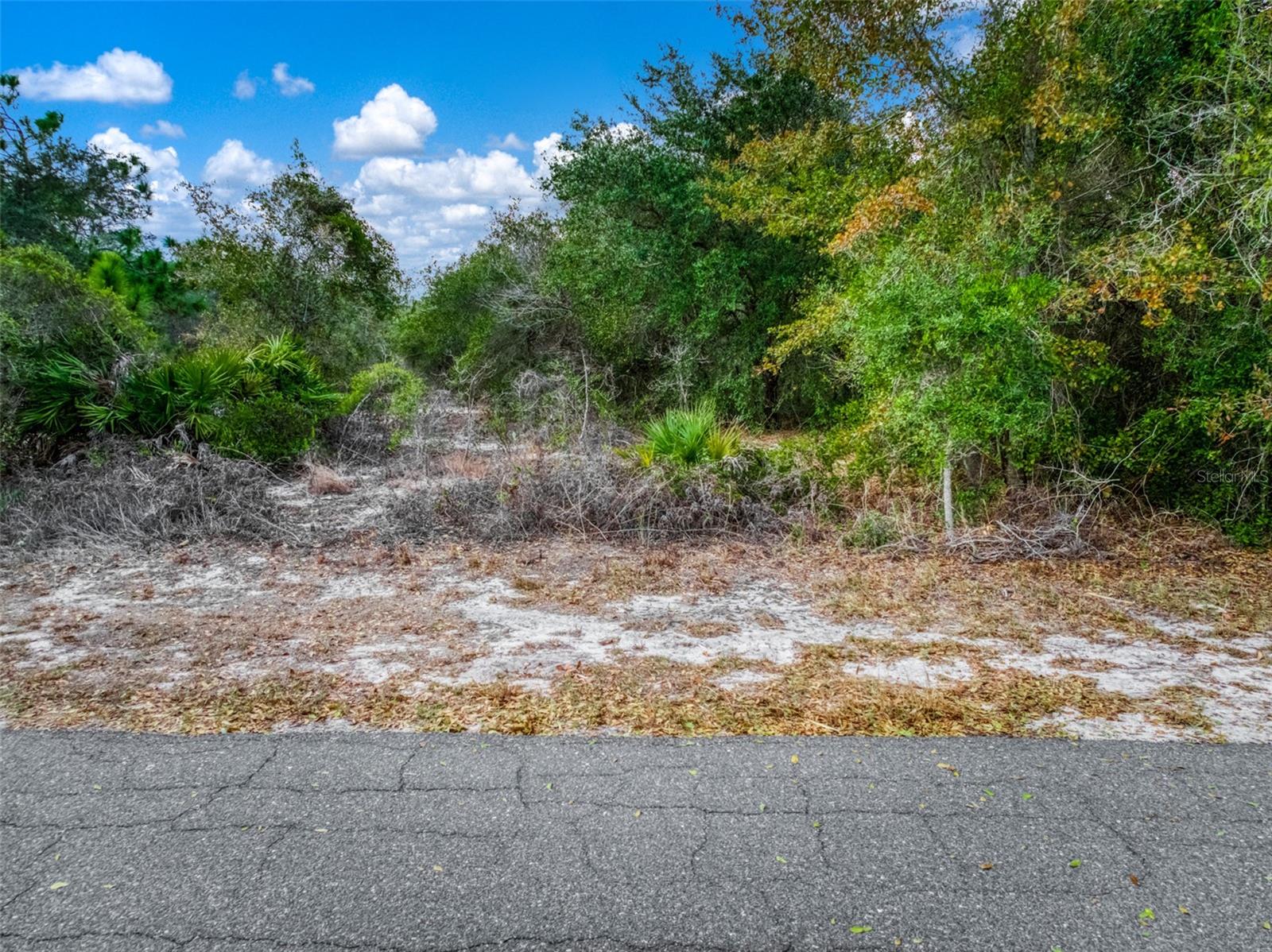 PLACID LAKES SEC 09 - Land