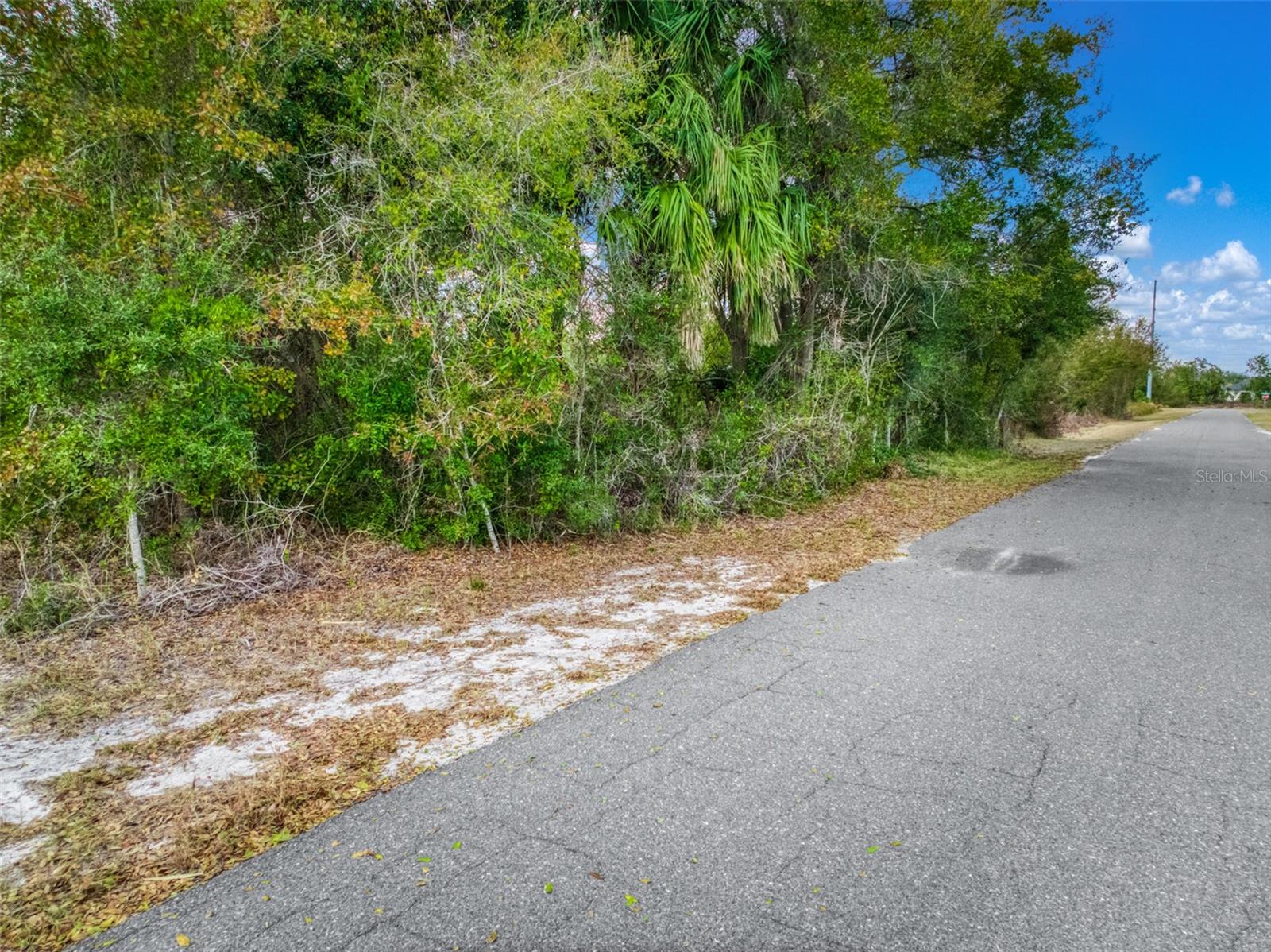 PLACID LAKES SEC 09 - Land