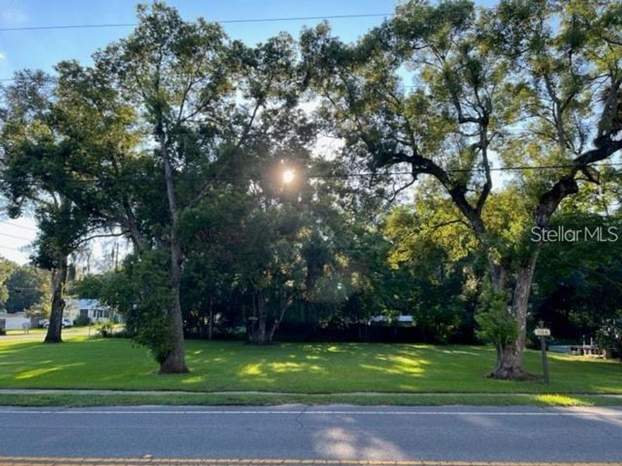 Fantastic opportunity to build your dream home in beautiful Lake Helen! This vacant corner lot is conveniently located on the intersection of Main and Lakeview, one block off the lake. Just steps away from the downtown post office and parks, the new owner can enjoy small town living in picturesque Lake Helen. Don't miss your opportunity! Call agent today!