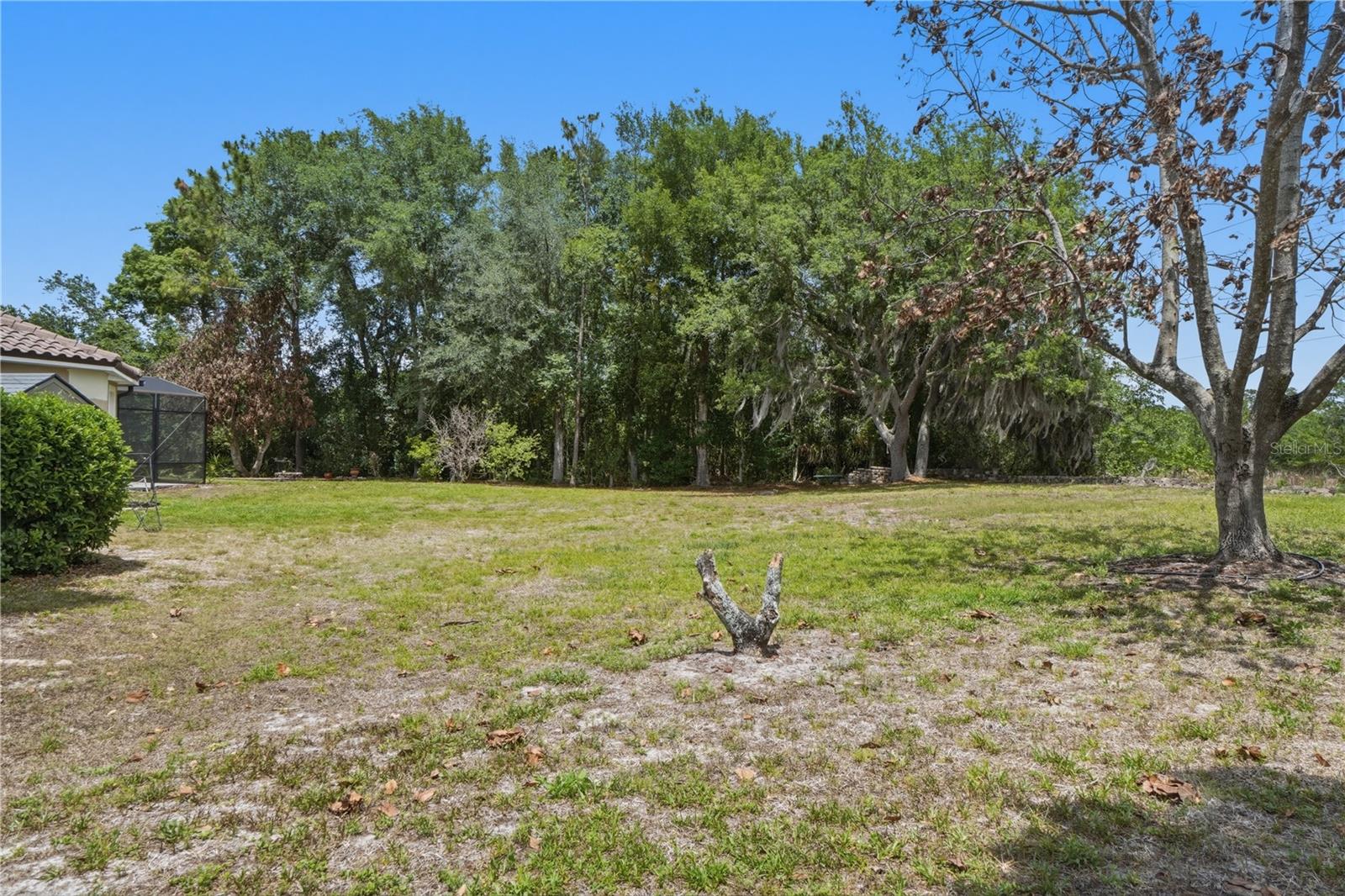 SEVILLE CHASE - Residential