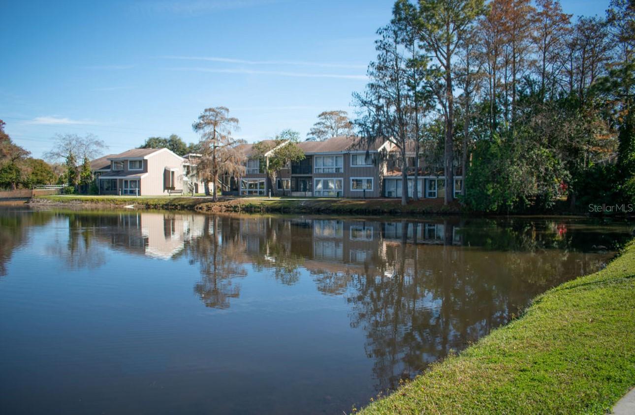 5877 WINDHOVER DRIVE # A01-1