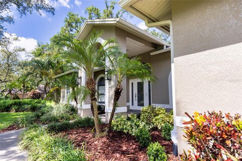 8901 EAGLE WATCH DRIVE RIVERVIEW FL 33578