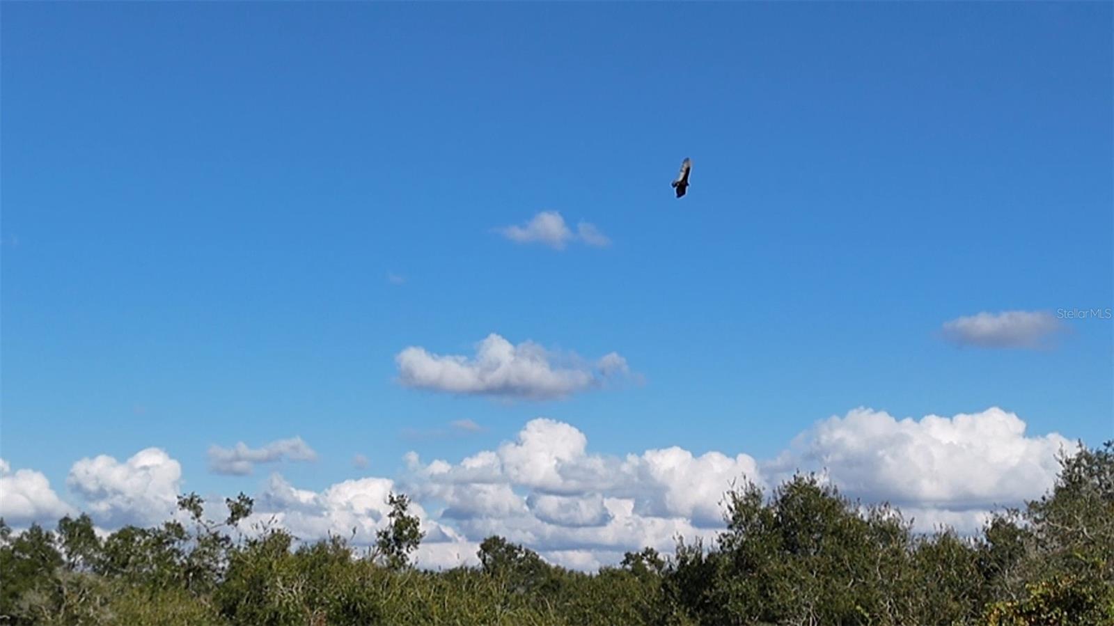 GUM SLOUGH STATIONS WEST - Residential