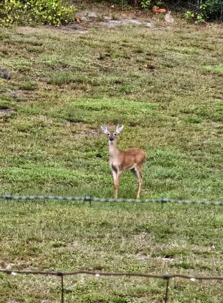 GUM SLOUGH STATIONS WEST - Residential