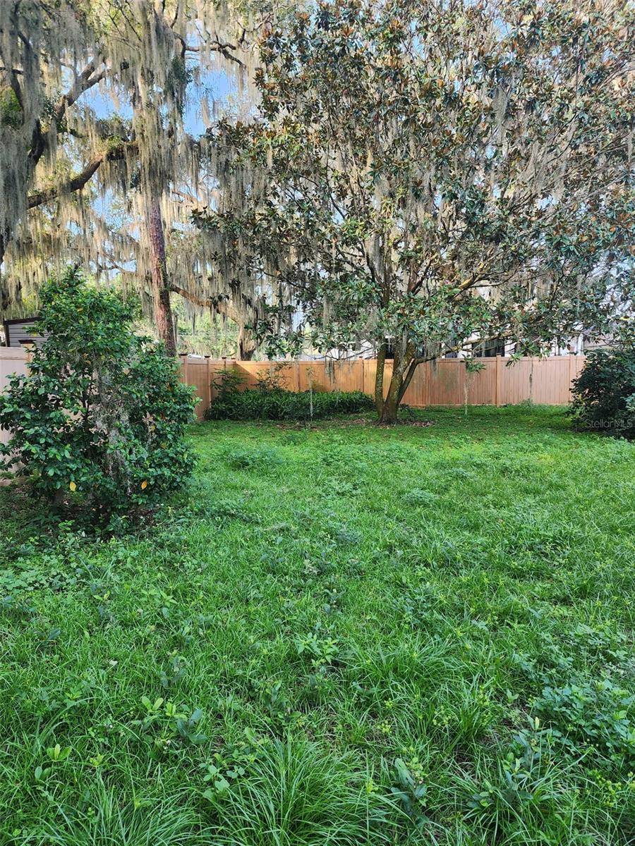 TAVARES LAKEWOOD PARK - Residential