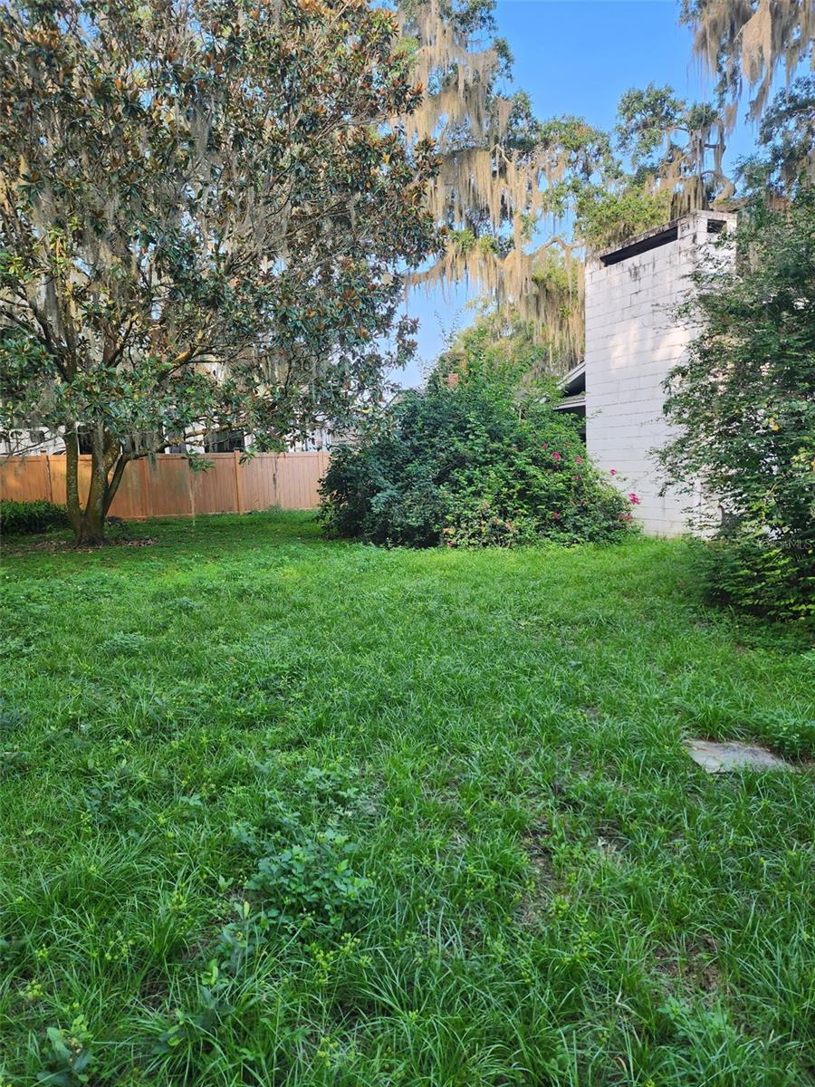 TAVARES LAKEWOOD PARK - Residential