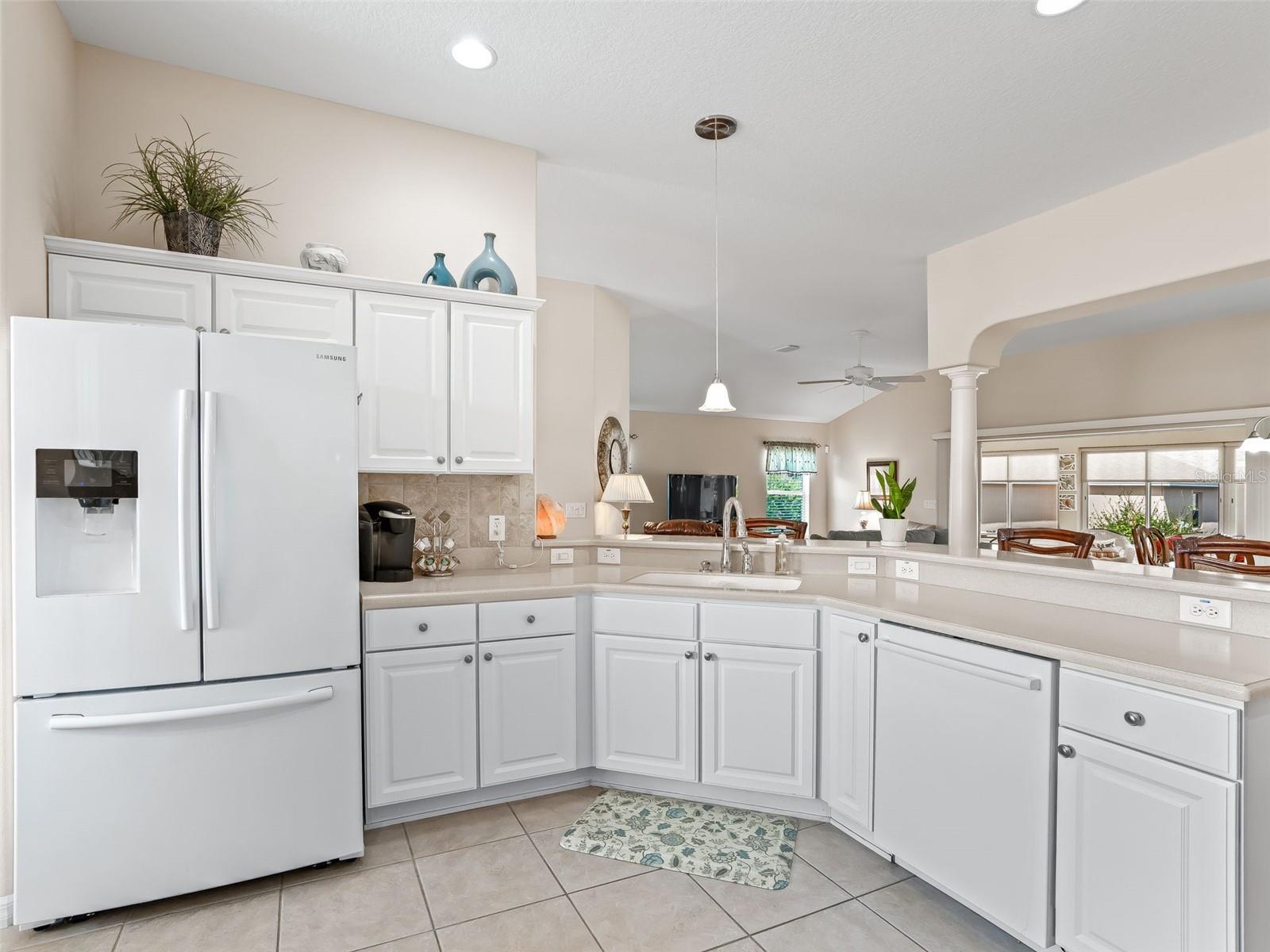 VILLAGES OF SUMTER - Residential