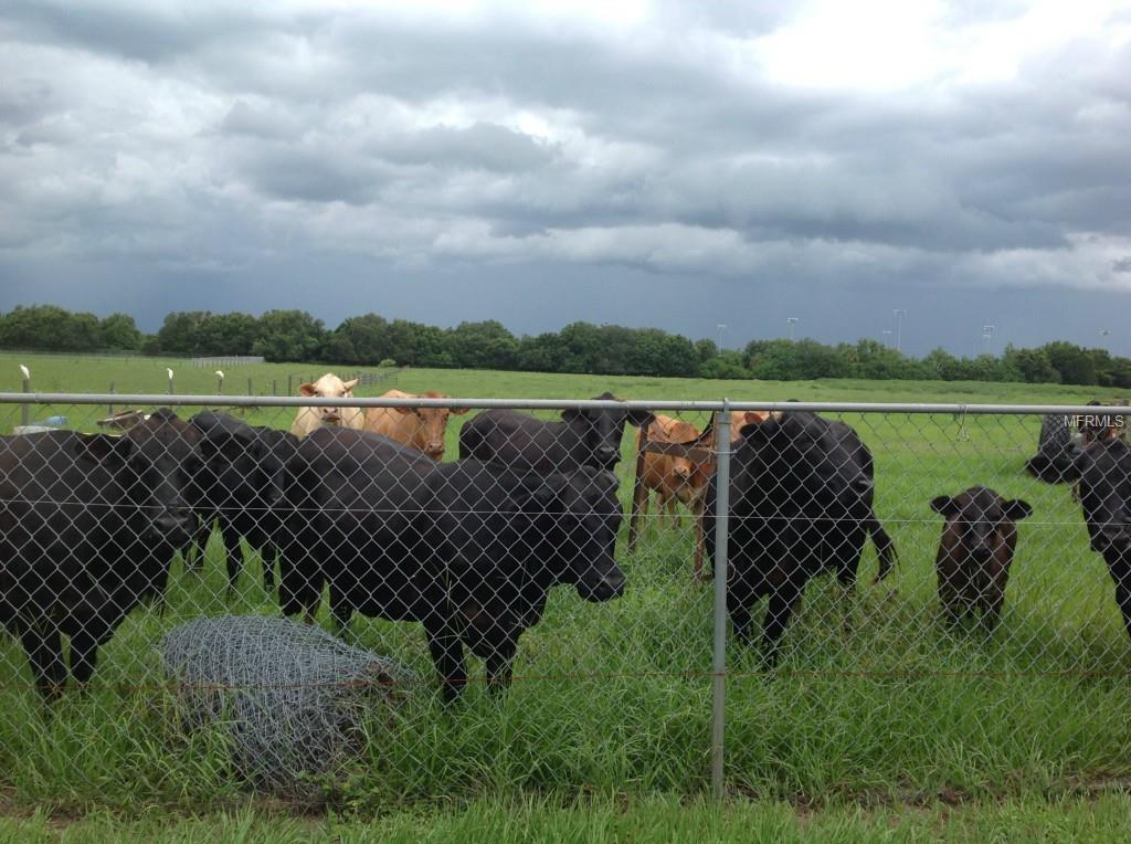 ACREAGE & UNREC - Residential