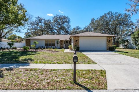 2860 LONGLEAF LANE PALM HARBOR FL 34684