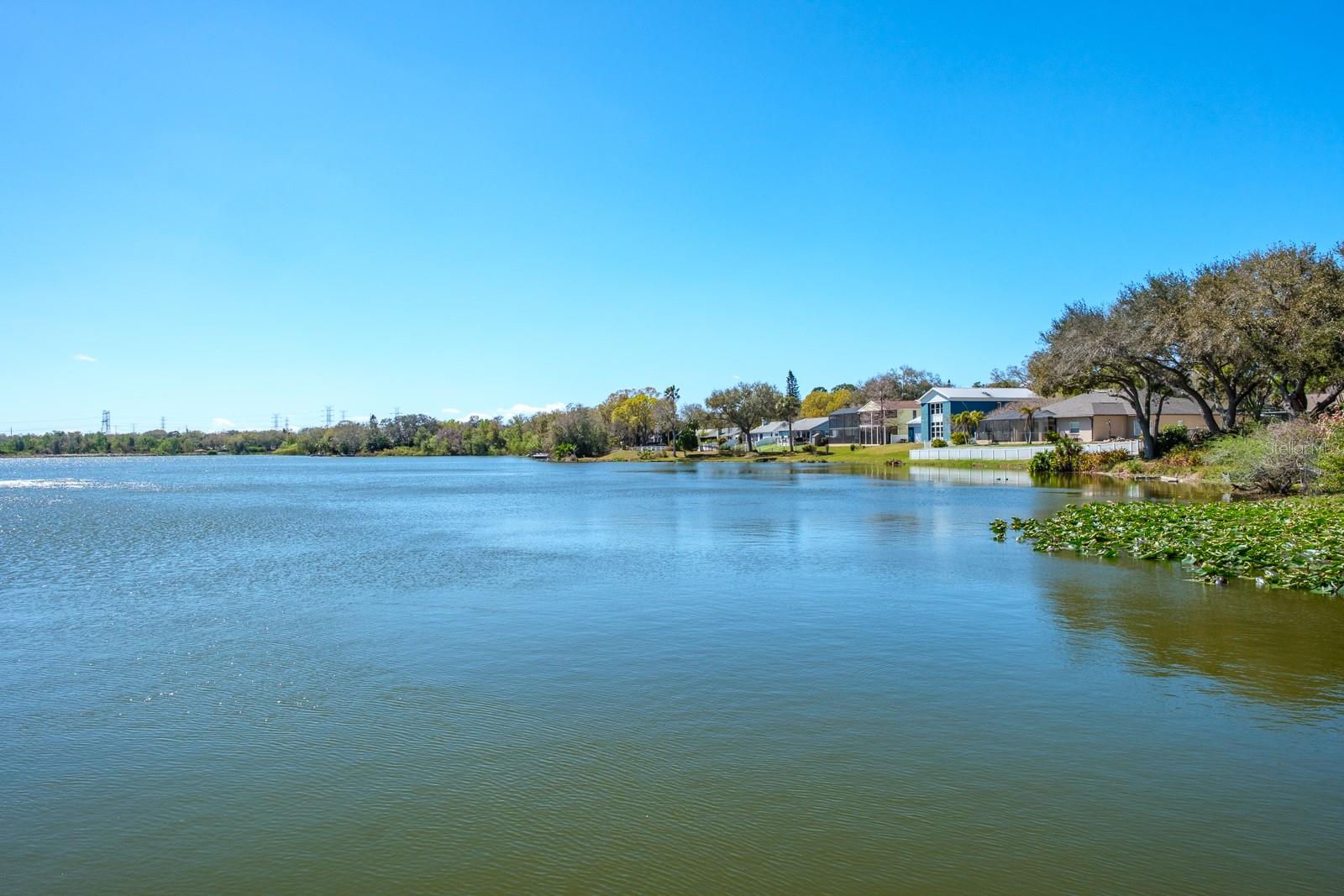 LAKE ST GEORGE-UNIT II - Residential