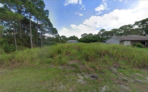 Photo of 2111 Watkins Road SE, Palm Bay, FL 32909 (MLS # TB8443791)