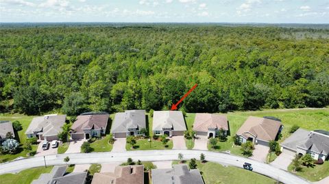 A home in KISSIMMEE