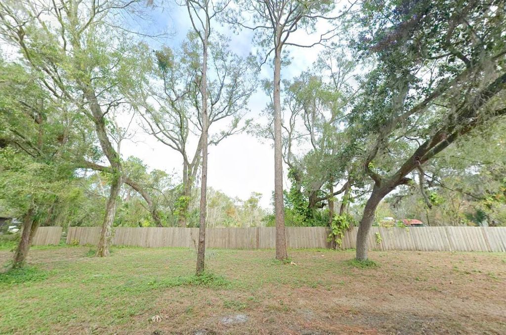 Photo of 35333 Perch Dr, Zephyrhills, FL 33541 (MLS # A4683499)