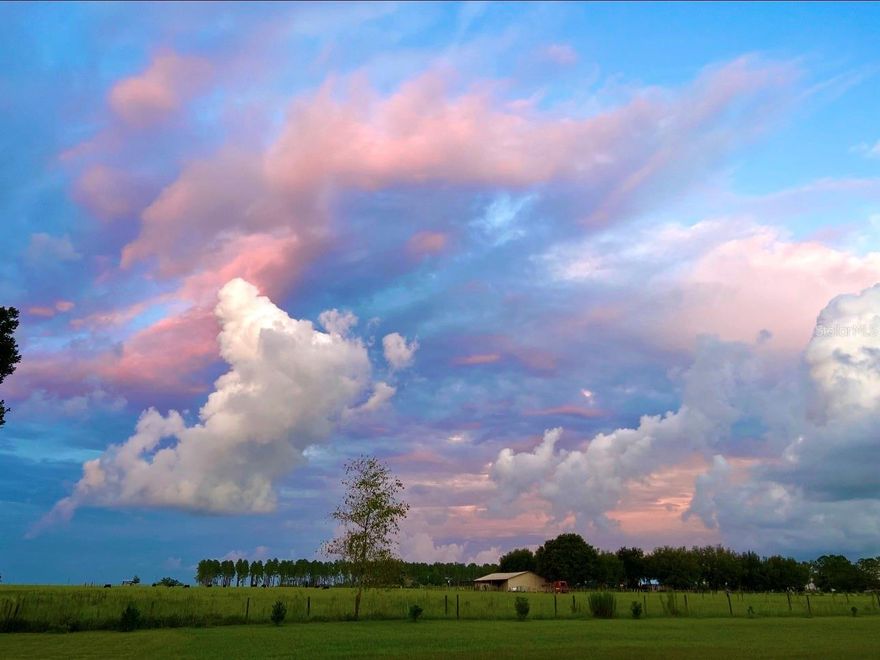 Welcome to a unique and versatile property located at 15300 Lake Iola Rd in Dade City—an established and award-winning event venue with endless potential. Formerly a flower nursery, this beautiful property now operates as a highly rated wedding and event venue, earning 5-star Google reviews and recognition as a Best Wedding Venue. The property offers parking for approximately 80 vehicles and multiple thoughtfully designed event spaces, including a wildflower ceremony area, dedicated reception space accommodating approximately 100 guests, and a dance floor area. The venue also features bridal and groom suites (bedrooms) complete with a full kitchen, two bathrooms, and a play area, along with separate outdoor restrooms for guests. The primary home is a charming three bedroom with three and half bath s, showcasing many original features, including the original exterior front door, a twin-stack fireplace, and a kitchen with the original double-stack stove. Additional updates include new carpet and a roof approximately 3 years old. Additional property highlights include an 830 sq ft basement, well pump was installed approximately 3–4 years ago, and septic system pumped approximately 2 years ago. The land has never been treated with pesticides, preserving its natural beauty and landscape. This property presents an incredible opportunity for event hosting, weddings, agritourism, or creative business ventures, all set within the peaceful charm of Dade City. The koi fish pond/ ceremony area will have stocked beautiful fish, although not all Koi fish will convey.