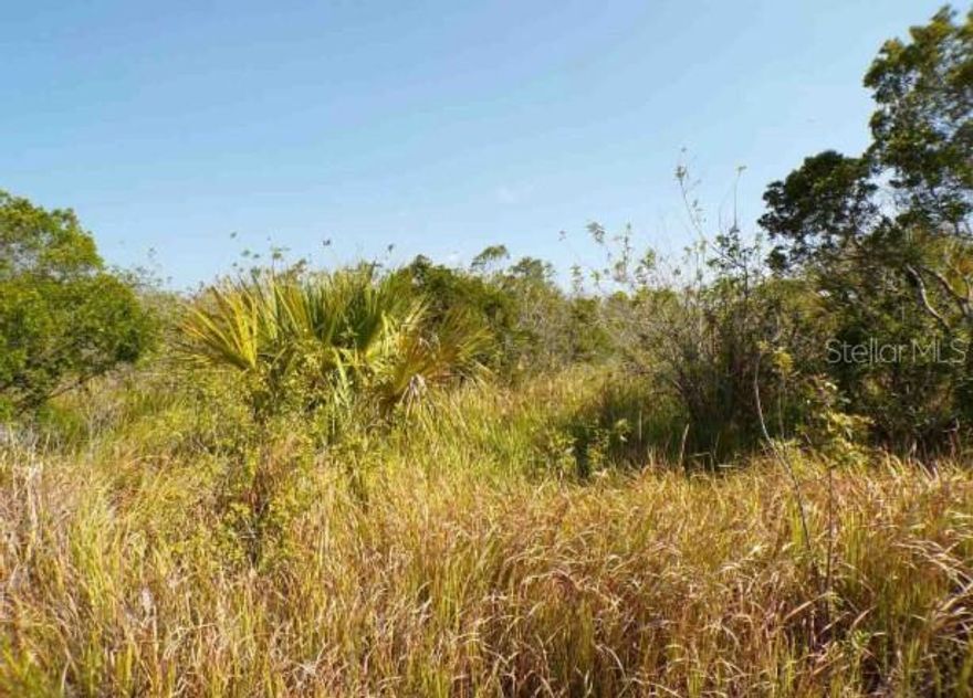 Don't miss this opportunity to own just under a quarter-acre of residential land in a growing area of Palm Bay. Located on a quiet street with easy access to major roads, schools, shopping, and dining. This lot offers plenty of space for your future home, with no HOA and room for customization. Start planning your build today!