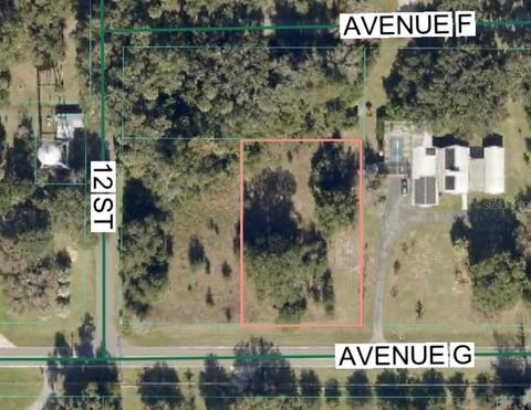 AVENUE G MC INTOSH FL 32664
