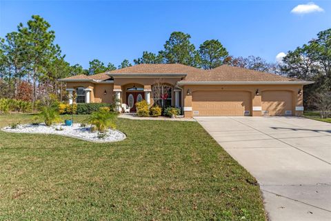 Photo of 39 Linder Street, Homosassa, FL 34446 (MLS # TB8464873)