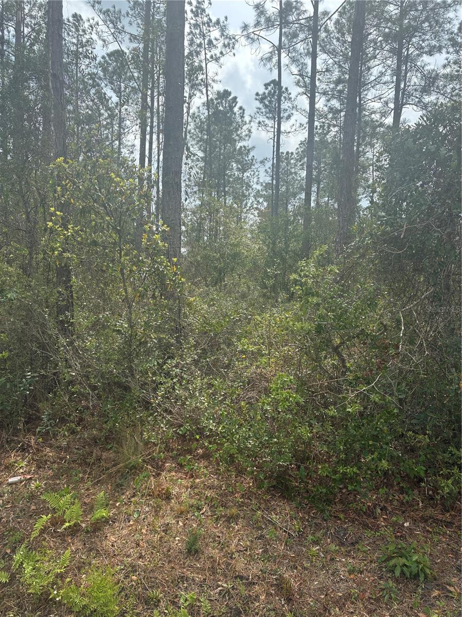 FLAGLER ESTATES - Land