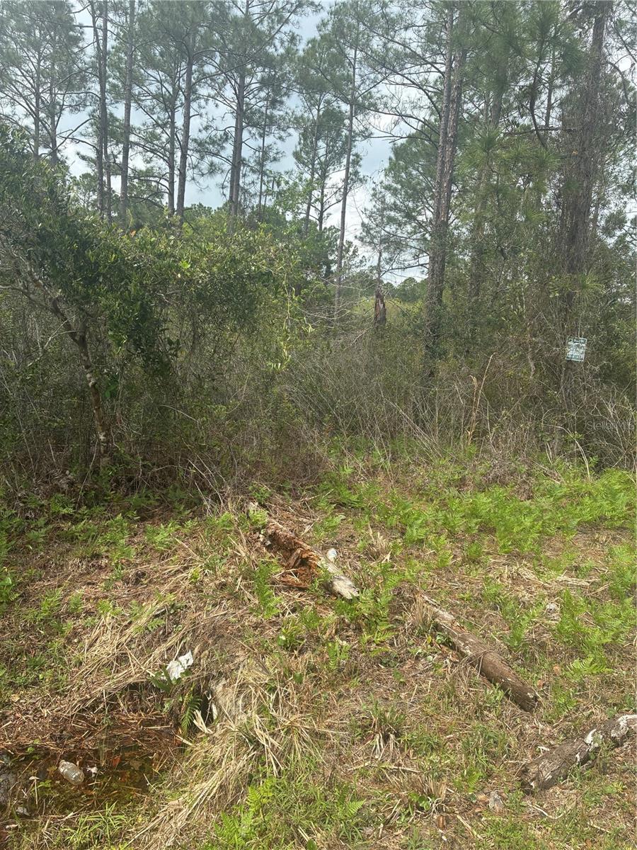 FLAGLER ESTATES - Land