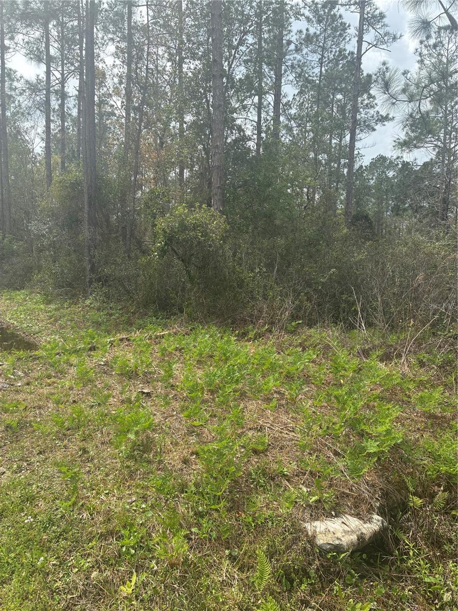 FLAGLER ESTATES - Land